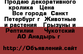 Продаю декоративного кролика › Цена ­ 500 - Все города, Санкт-Петербург г. Животные и растения » Грызуны и Рептилии   . Чукотский АО,Анадырь г.